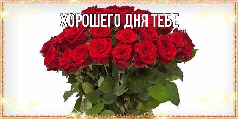 Картинка Люблю тебя, Гордон