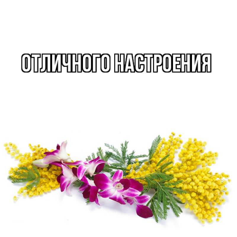 Картинка Люблю тебя, Габриэлла