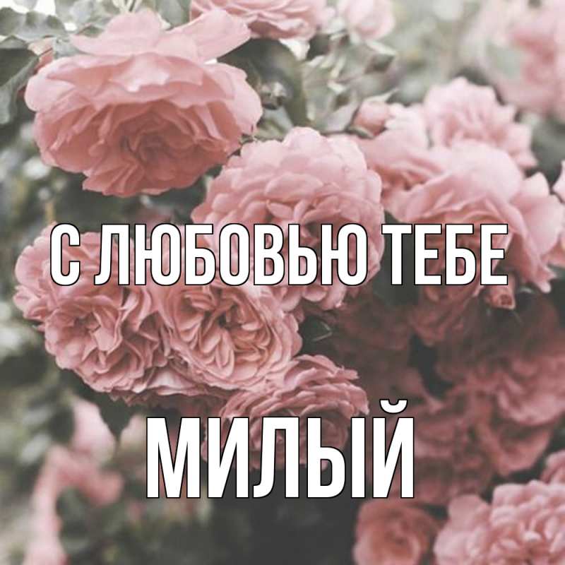 Открытка с именем, Милый, С любовью тебе