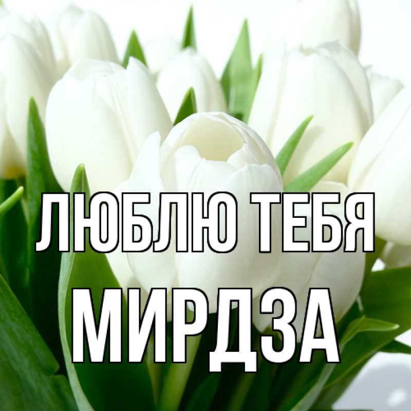 Картинка Люблю тебя, Мирдза
