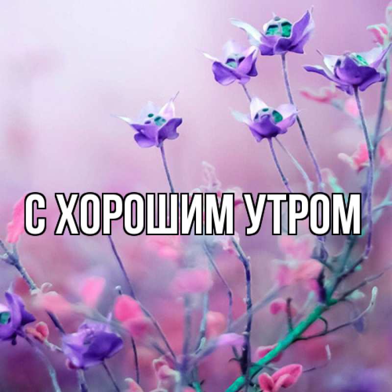 Картинка Люблю тебя, Таня