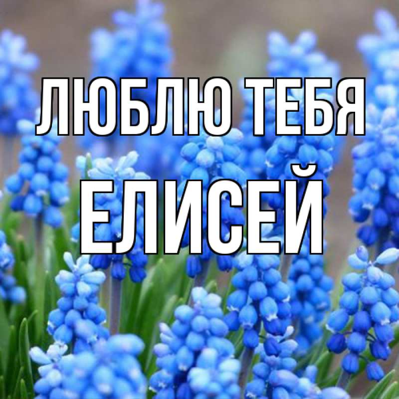 Открытка с именем, Елисей, Люблю тебя