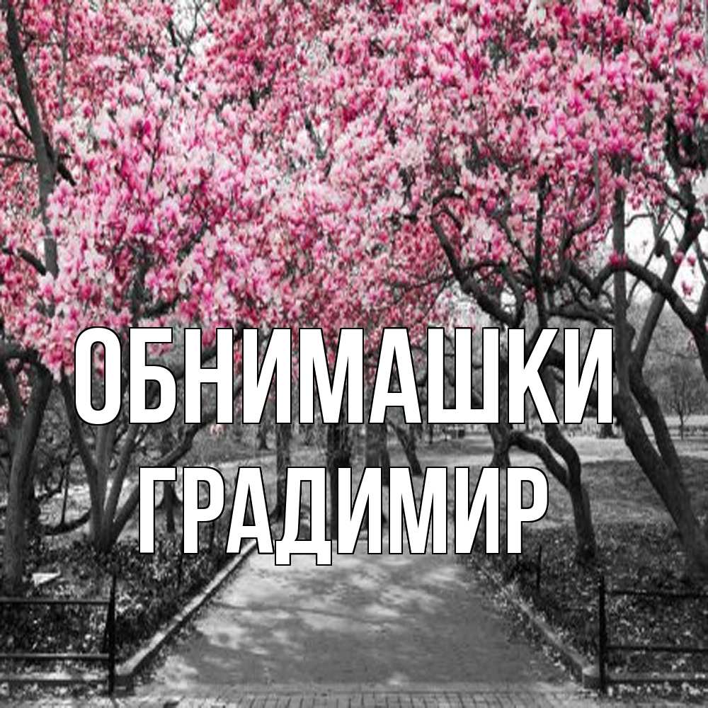 Открытка на каждый день с именем, Градимир Обнимашки обработанное фото Прикольная открытка с пожеланием онлайн скачать бесплатно 