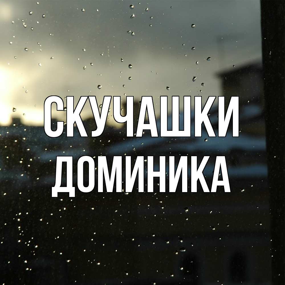Открытка на каждый день с именем, Доминика Скучашки капли на стекле Прикольная открытка с пожеланием онлайн скачать бесплатно 