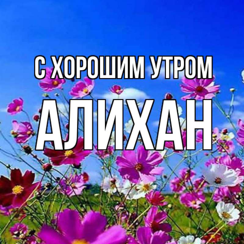 Картинка С хорошим утром, Алихан
