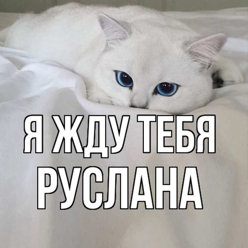 Картинка Я жду тебя, Руслана