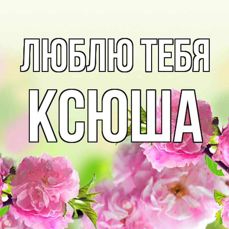 Картинка Люблю тебя, Ксюша