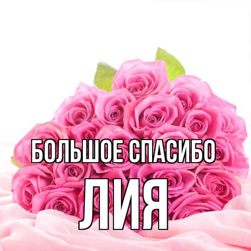 Картинка Большое спасибо, Лия