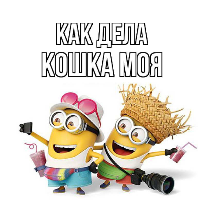 Картинка Как дела, Кошка моя