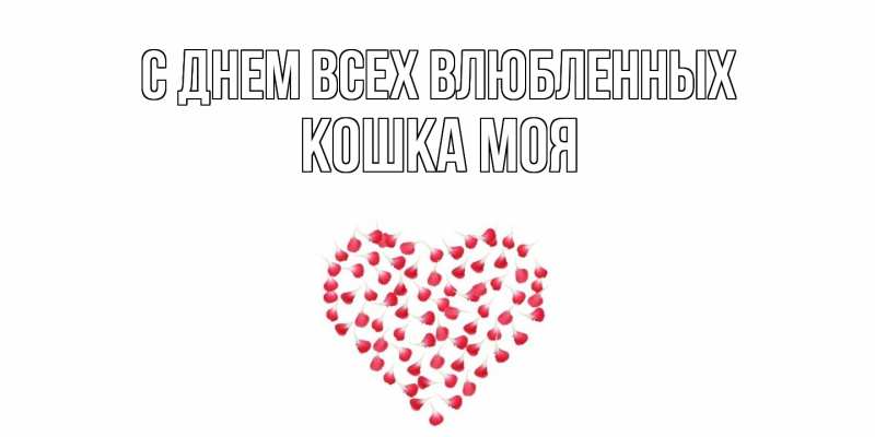 Картинка С днем всех влюбленных, Кошка моя