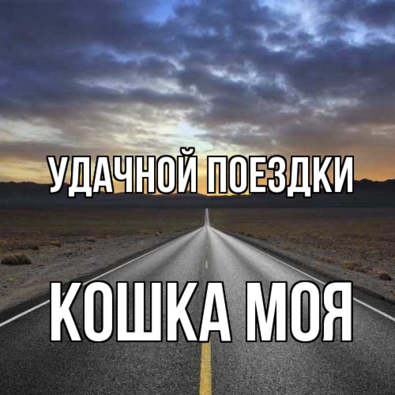 Картинка Удачной поездки, Кошка моя