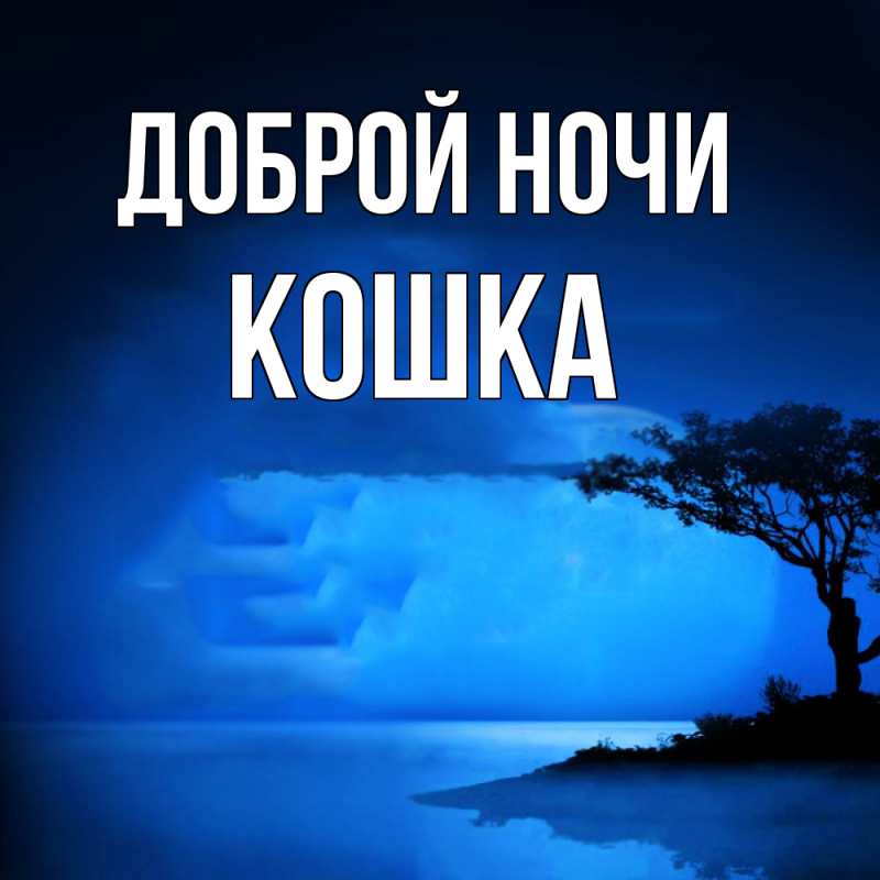 Картинка Доброй ночи, Кошка