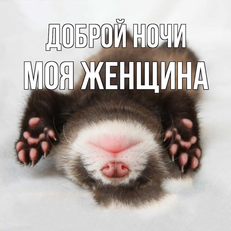 Картинка Доброй ночи, Моя женщина