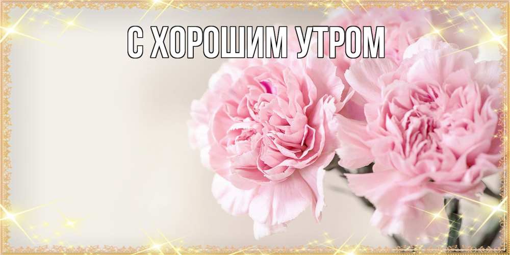 Открытка на каждый день с именем, Дима Люблю тебя открытка с розовыми цветами в рамочке с подписью на 8 марта Прикольная открытка с пожеланием онлайн скачать бесплатно 