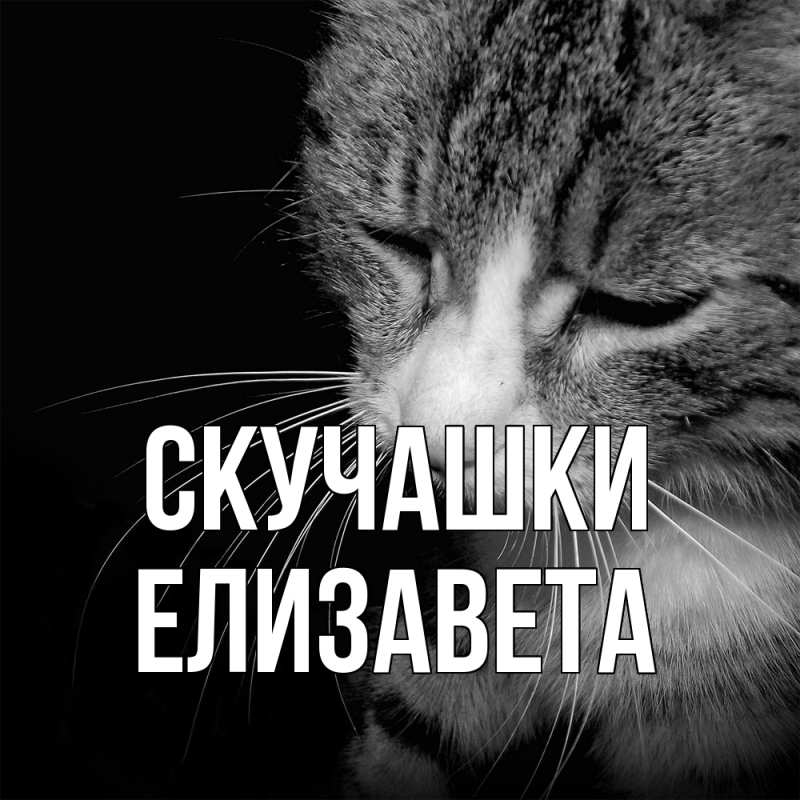 Картинка Скучашки, Елизавета