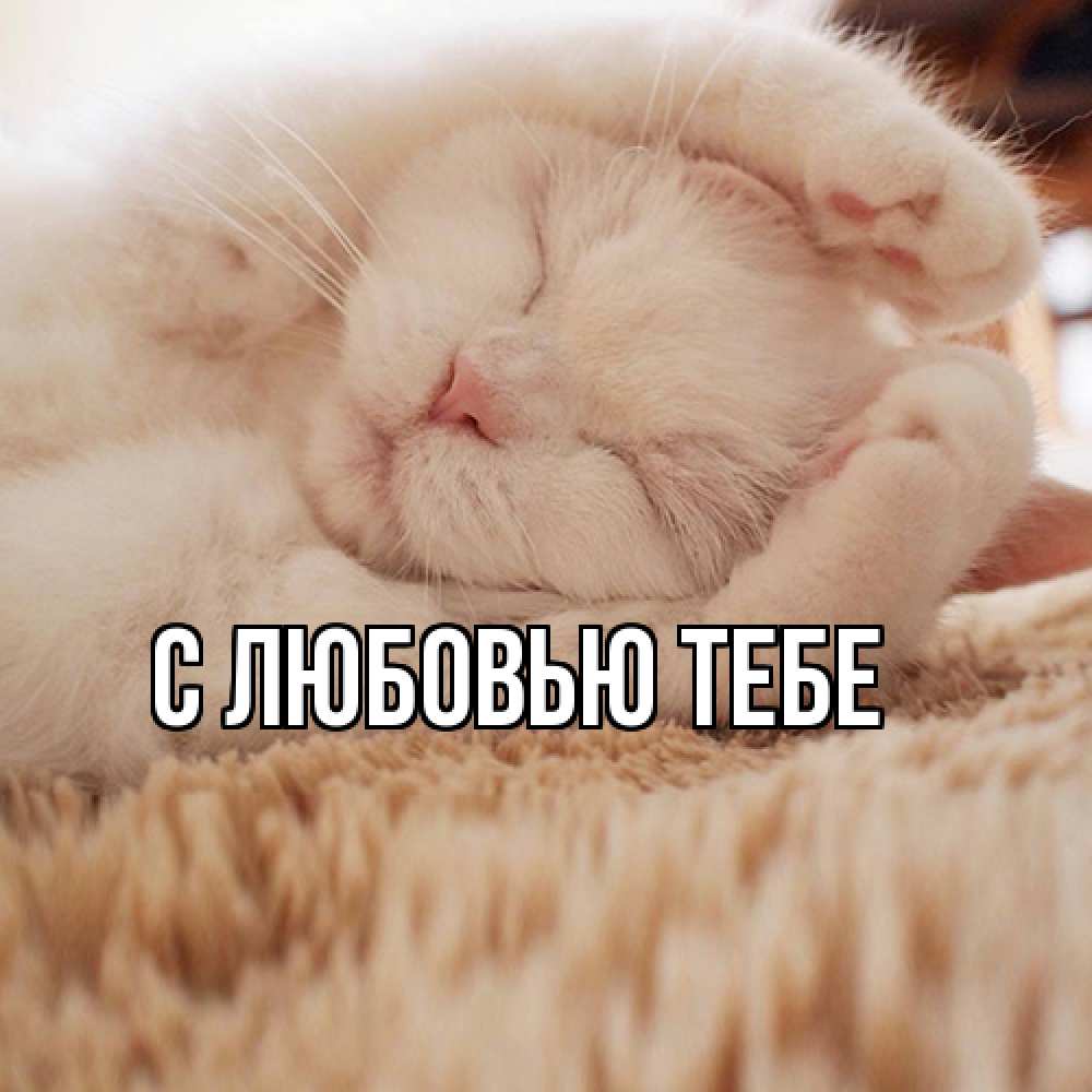 Открытка на каждый день с именем, Зоя Я жду тебя для любимой девушки милота Прикольная открытка с пожеланием онлайн скачать бесплатно 