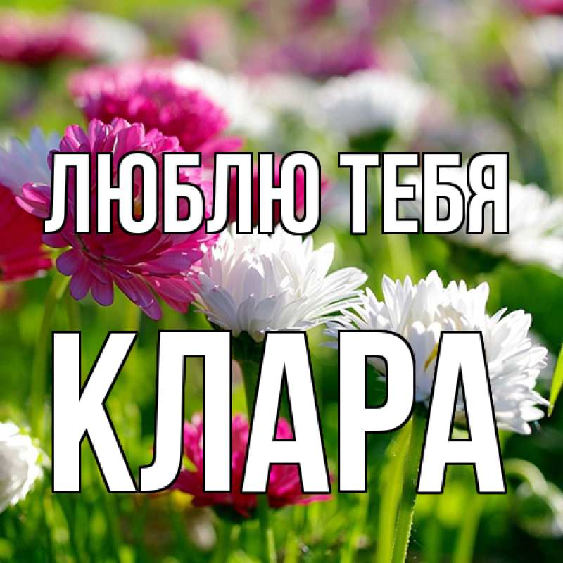 Картинка Люблю тебя, Клара