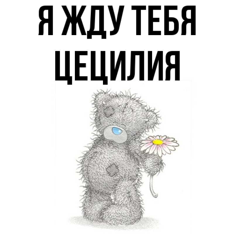 Картинка Я жду тебя, Цецилия