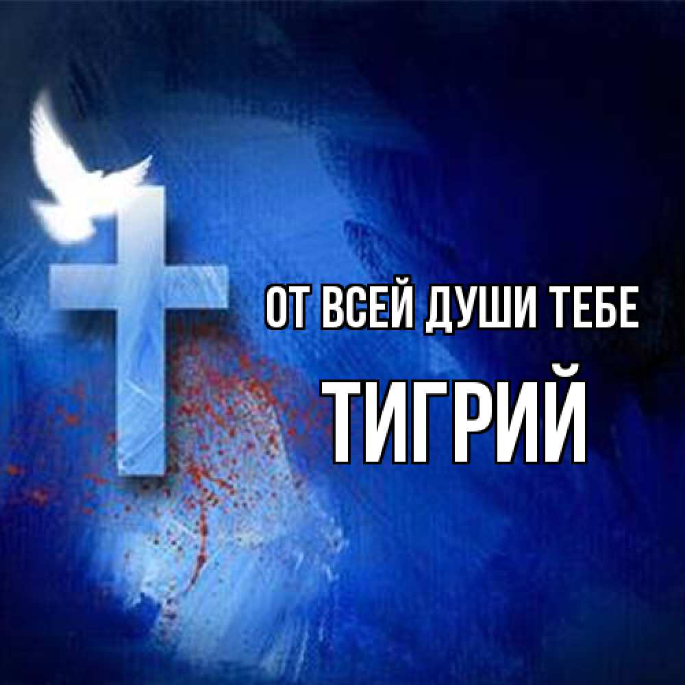 Открытка на каждый день с именем, Тигрий От всей души тебе Синий фон и птица Прикольная открытка с пожеланием онлайн скачать бесплатно 