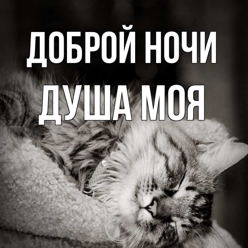 Картинка Доброй ночи, Душа моя