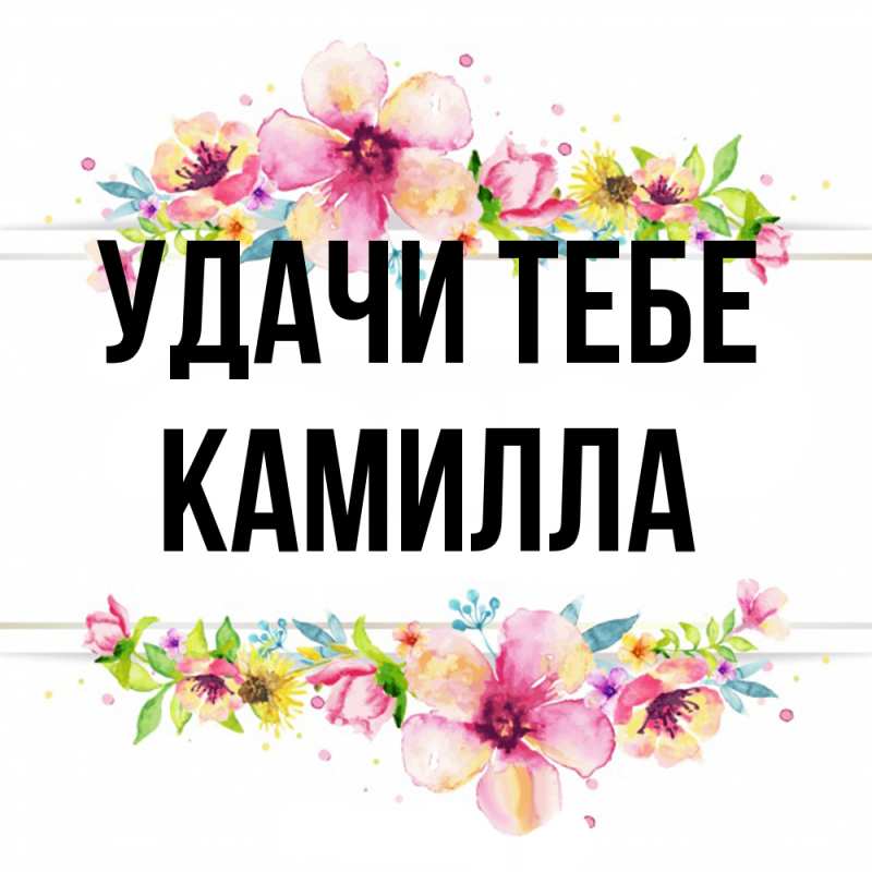 Картинка Удачи тебе, Камилла