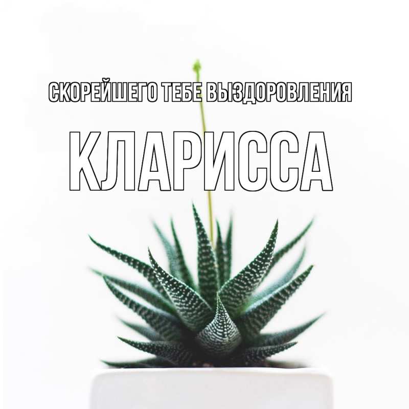 Картинка Скорейшего тебе выздоровления, Кларисса