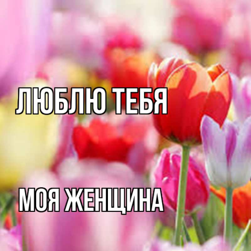 Картинка Люблю тебя, Моя женщина