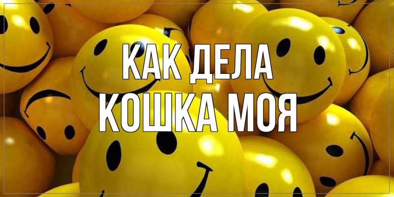 Картинка Как дела, Кошка моя