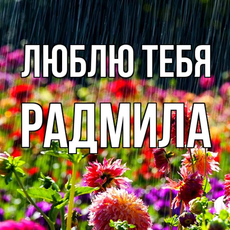 Картинка Люблю тебя, Радмила