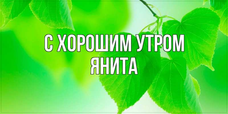 Картинка С хорошим утром, Янита