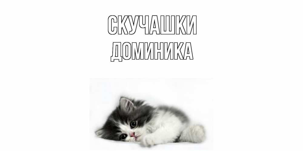 Открытка на каждый день с именем, Доминика Скучашки кот, скука Прикольная открытка с пожеланием онлайн скачать бесплатно 