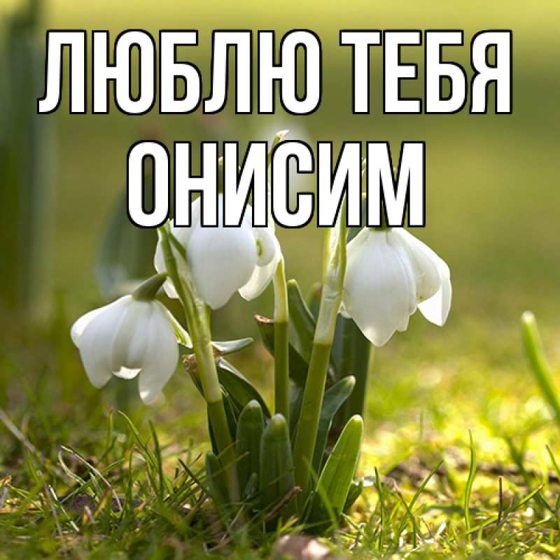 Картинка Люблю тебя, Онисим