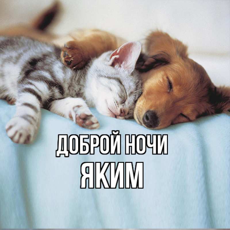 Открытка с именем, Яким, Доброй ночи