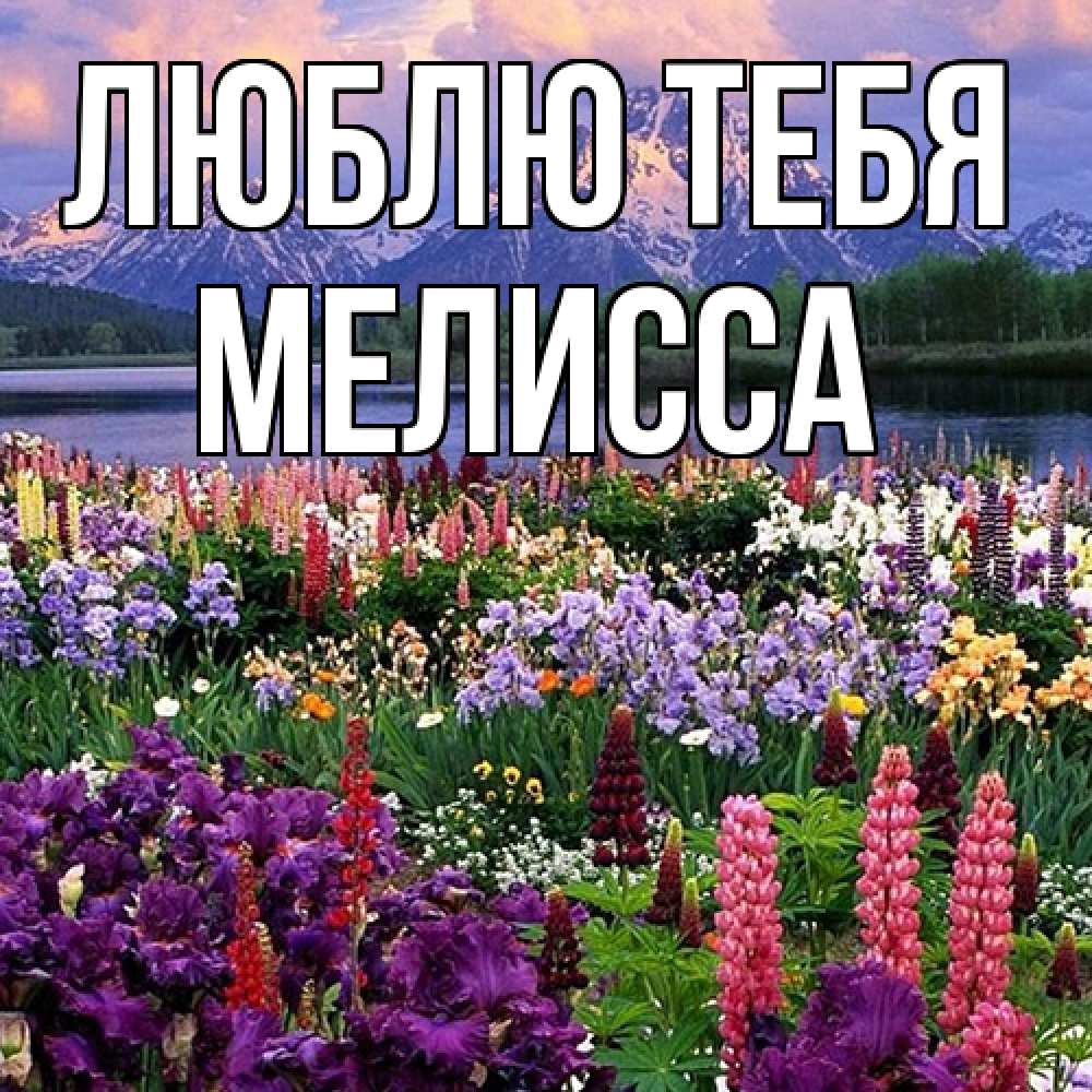 Открытка на каждый день с именем, Мелисса Люблю тебя международный женский день Прикольная открытка с пожеланием онлайн скачать бесплатно 