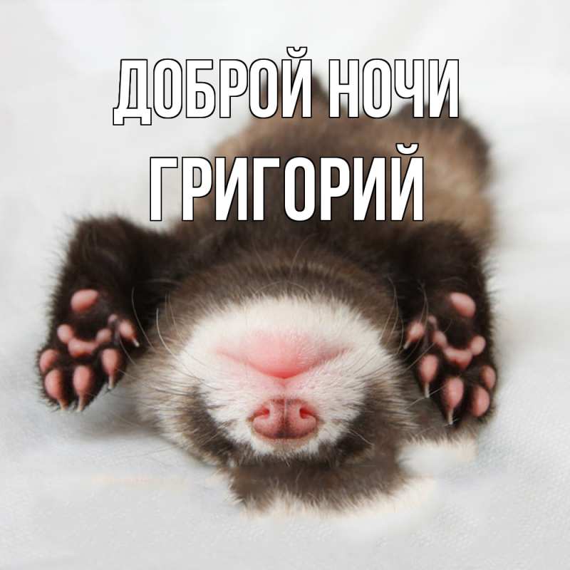 Картинка Доброй ночи, Григорий