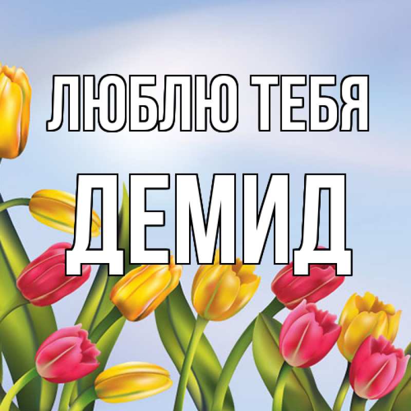 Картинка Люблю тебя, Демид