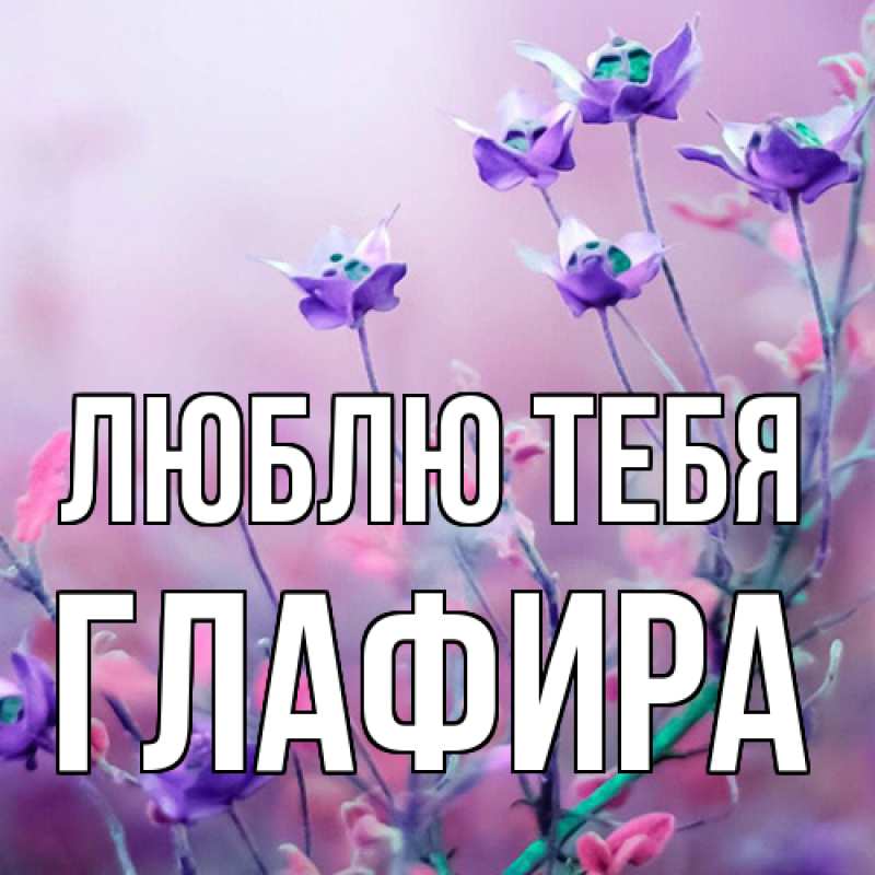 Картинка Люблю тебя, Глафира