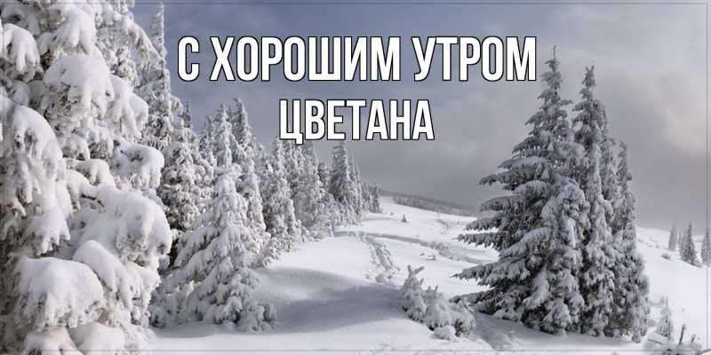 Картинка С хорошим утром, Цветана