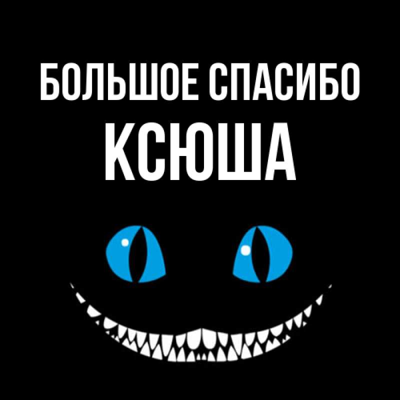 Картинка Большое спасибо, Ксюша