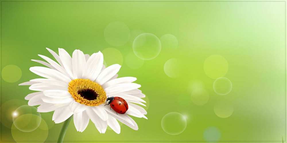 Открытка на каждый день с именем, Азалия Доброго утра и радостного дня зеленый фон и ромашка Прикольная открытка с пожеланием онлайн скачать бесплатно 