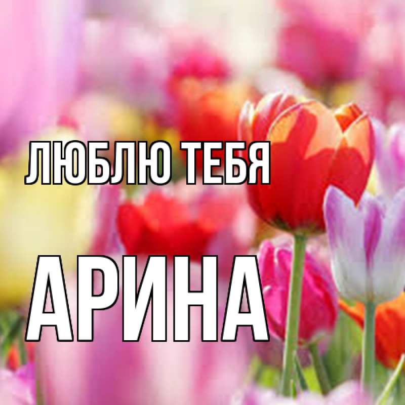 Картинка Люблю тебя, Арина