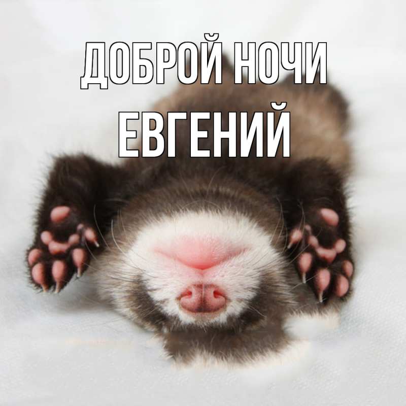 Картинка Доброй ночи, Евгений