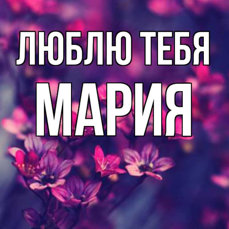 Картинка Люблю тебя, Мария
