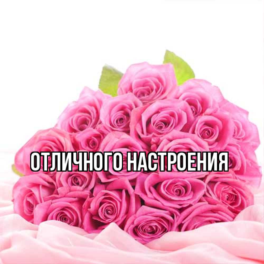 Открытка на каждый день с именем, Жорж Большое спасибо розовые розы с подписью Прикольная открытка с пожеланием онлайн скачать бесплатно 