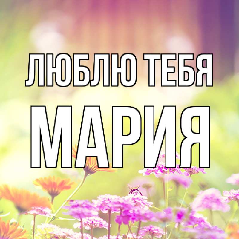 Картинка Люблю тебя, Мария
