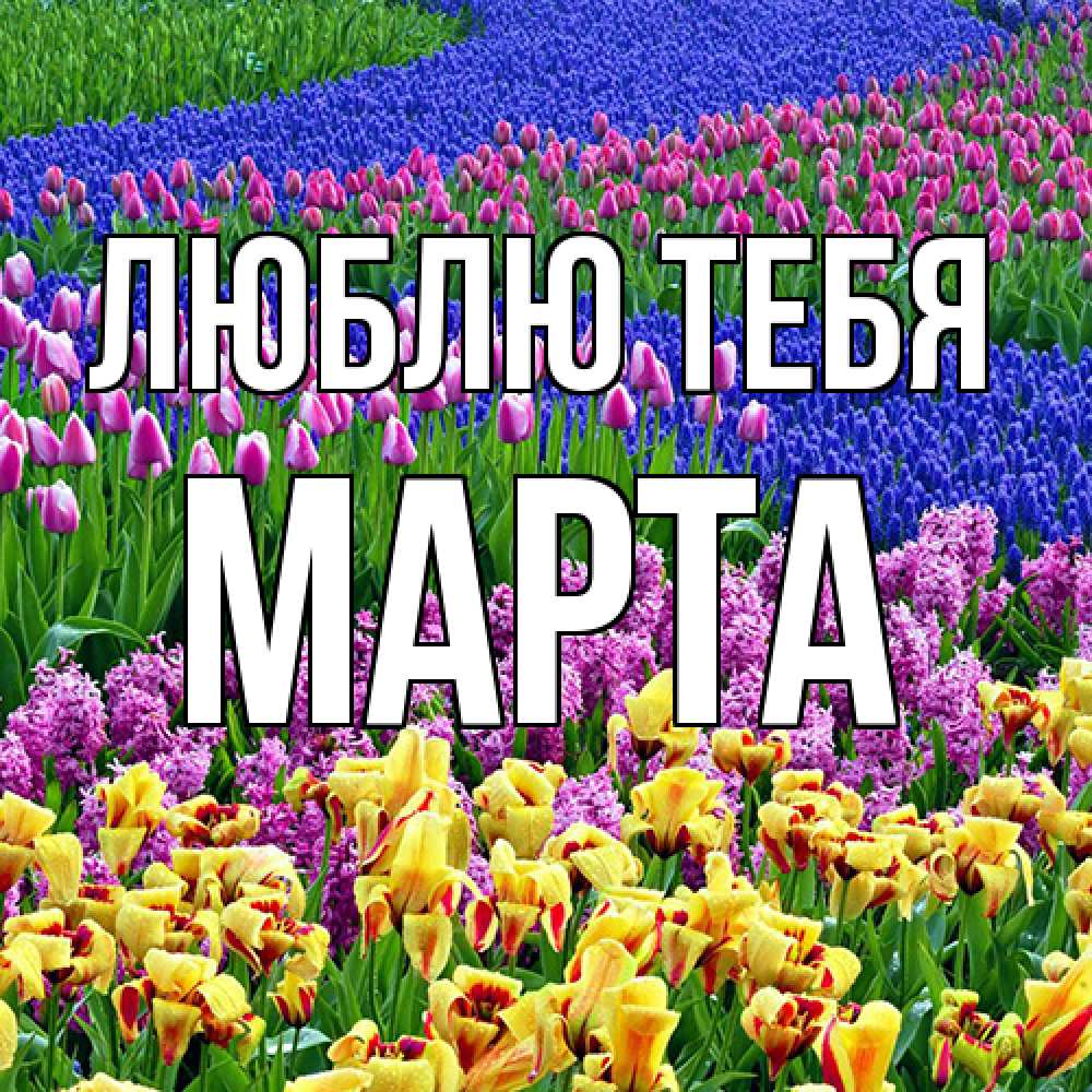 Открытка на каждый день с именем, Марта Люблю тебя цветы Прикольная открытка с пожеланием онлайн скачать бесплатно 