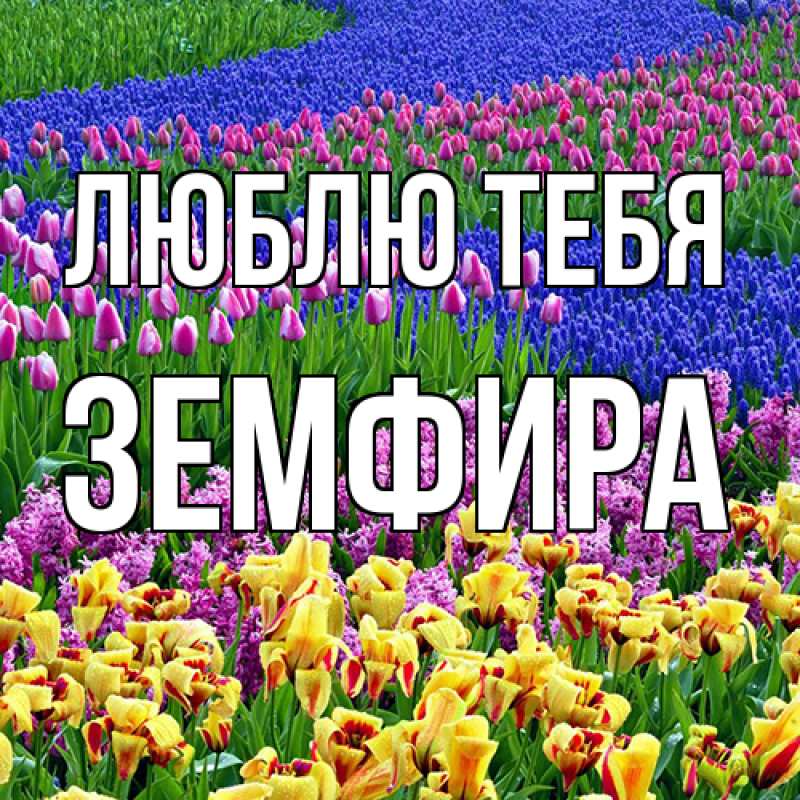 Картинка Люблю тебя, Земфира