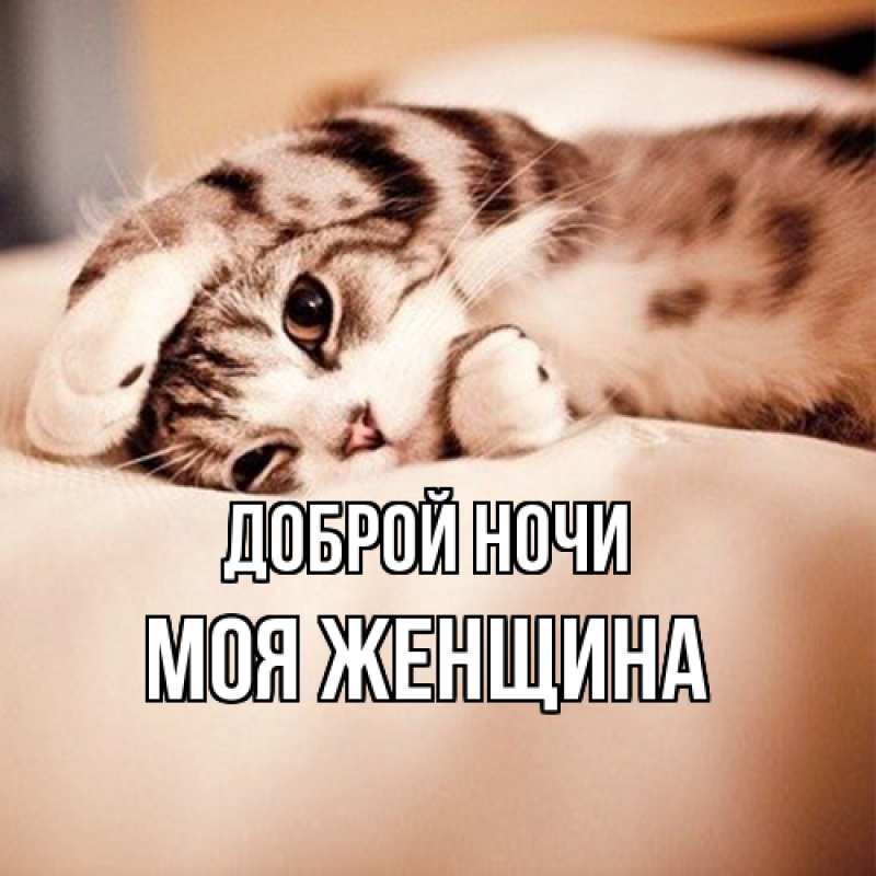 Картинка Доброй ночи, Моя женщина