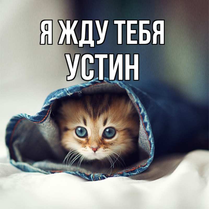 Картинка Я жду тебя, Устин