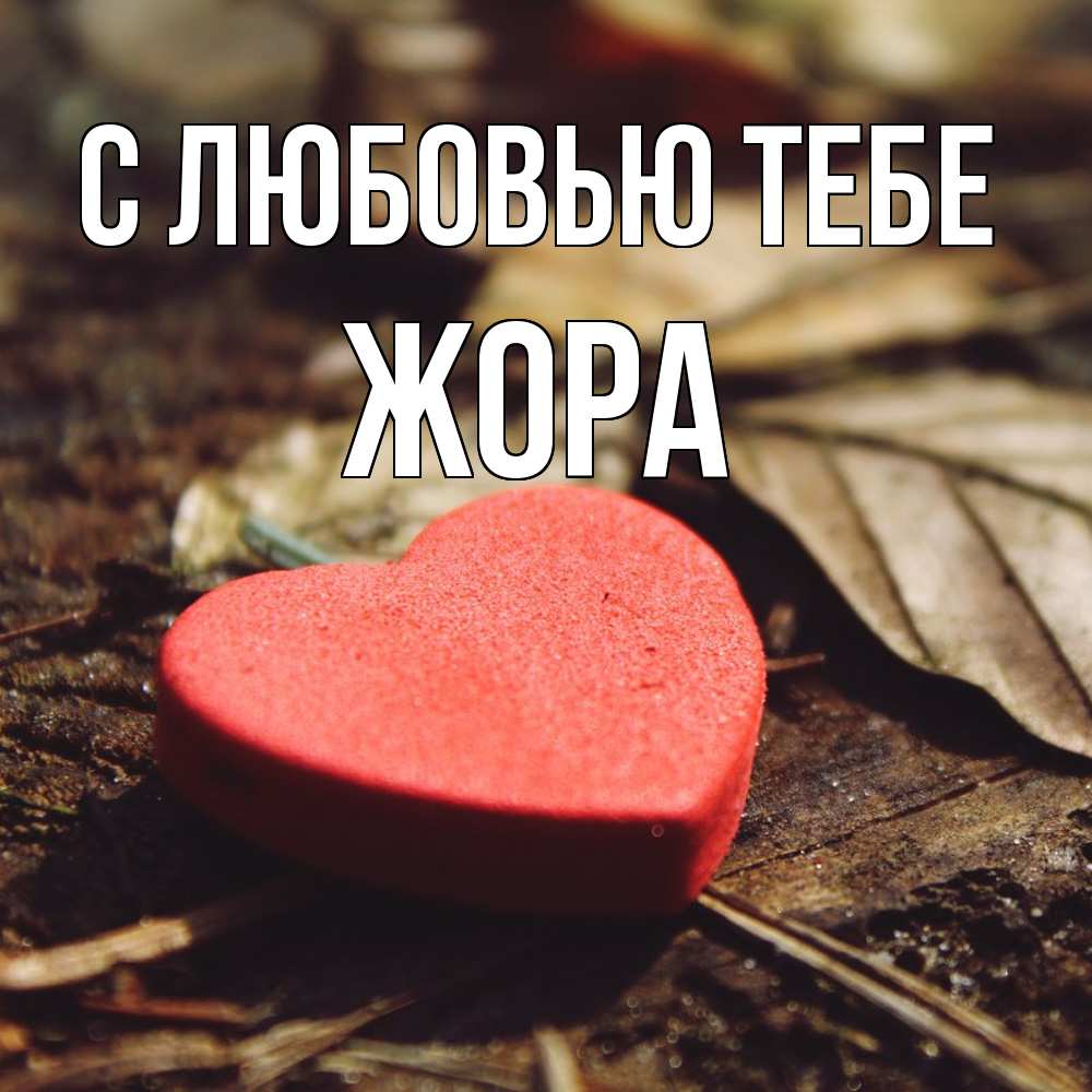 Открытка на каждый день с именем, Жора С любовью тебе листья деревье 4 Прикольная открытка с пожеланием онлайн скачать бесплатно 